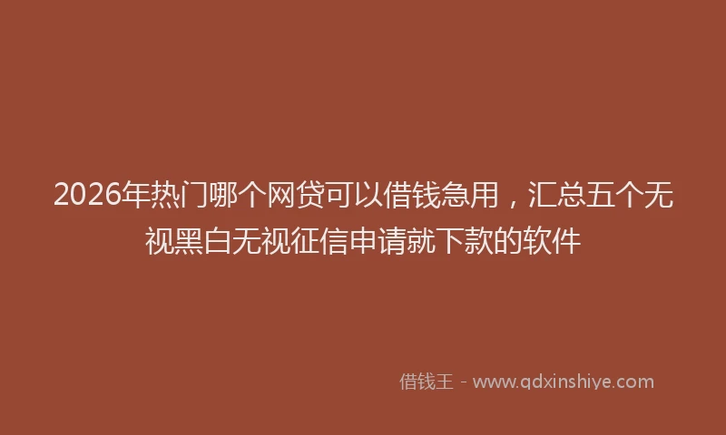 2026年热门哪个网贷可以借钱急用，汇总五个无视黑白无视征信申请就下款的软件