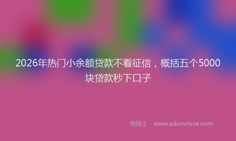 2026年热门小余额贷款不看征信，概括五个5000块贷款秒下口子