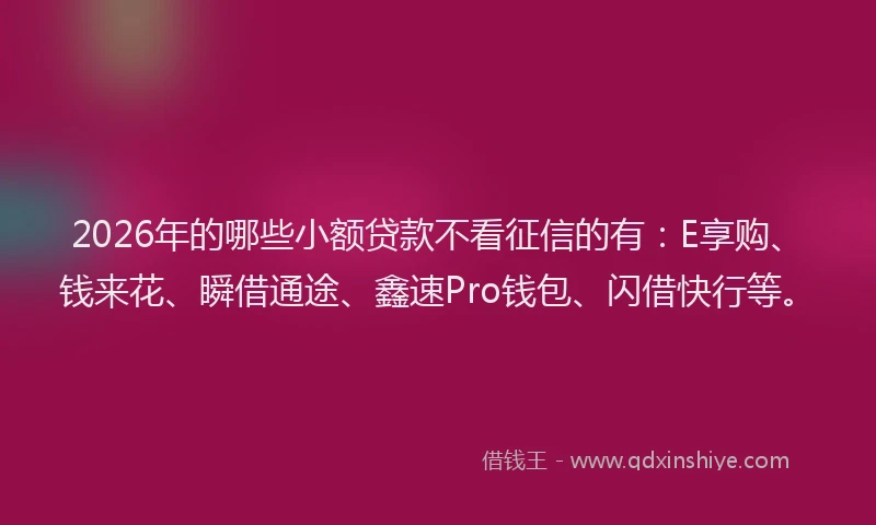 2026年的哪些小额贷款不看征信的有：E享购、钱来花、瞬借通途、鑫速Pro钱包、闪借快行等。