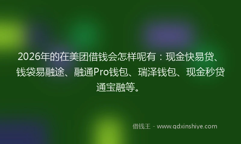 2026年的在美团借钱会怎样呢有：现金快易贷、钱袋易融途、融通Pro钱包、瑞泽钱包、现金秒贷通宝融等。