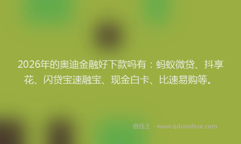2026年的奥迪金融好下款吗有：蚂蚁微贷、抖享花、闪贷宝速融宝、现金白卡、比速易购等。