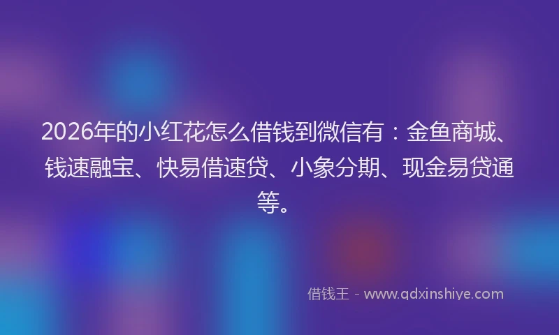 2026年的小红花怎么借钱到微信有：金鱼商城、钱速融宝、快易借速贷、小象分期、现金易贷通等。