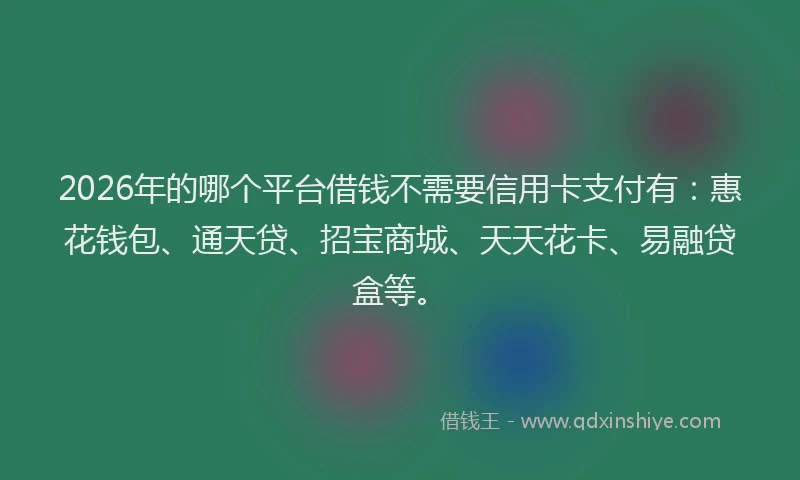 2026年的哪个平台借钱不需要信用卡支付有:惠花钱包、通天贷、招宝商城、天天花卡、易融贷盒等。