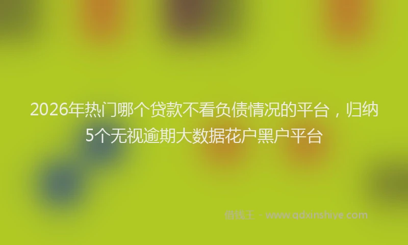 2026年热门哪个贷款不看负债情况的平台，归纳5个无视逾期大数据花户黑户平台