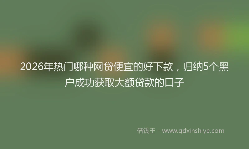 2026年热门哪种网贷便宜的好下款，归纳5个黑户成功获取大额贷款的口子