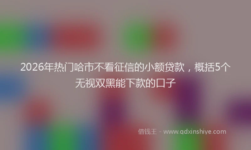 2026年热门哈市不看征信的小额贷款，概括5个无视双黑能下款的口子