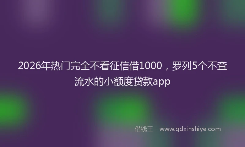 2026年热门完全不看征信借1000，罗列5个不查流水的小额度贷款app