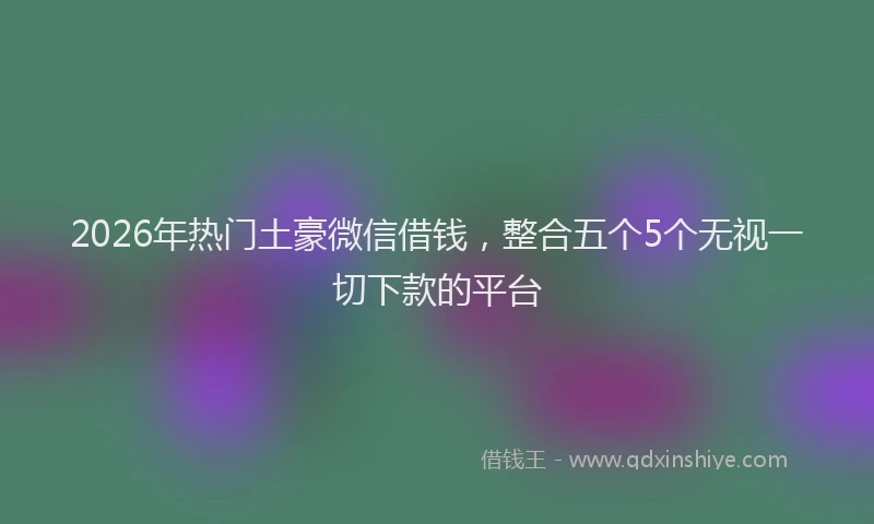 2026年热门土豪微信借钱，整合五个5个无视一切下款的平台