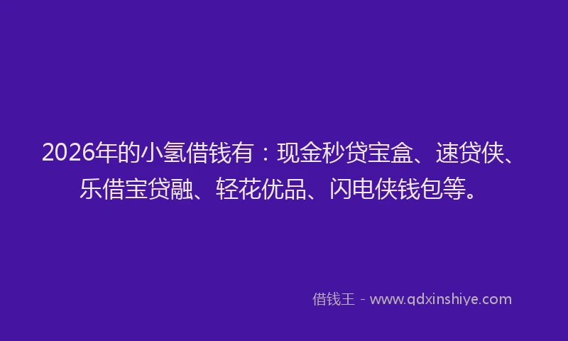 2026年的小氢借钱有：现金秒贷宝盒、速贷侠、乐借宝贷融、轻花优品、闪电侠钱包等。