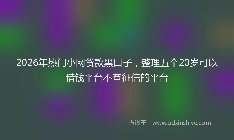 2026年热门小网贷款黑口子，整理五个20岁可以借钱平台不查征信的平台