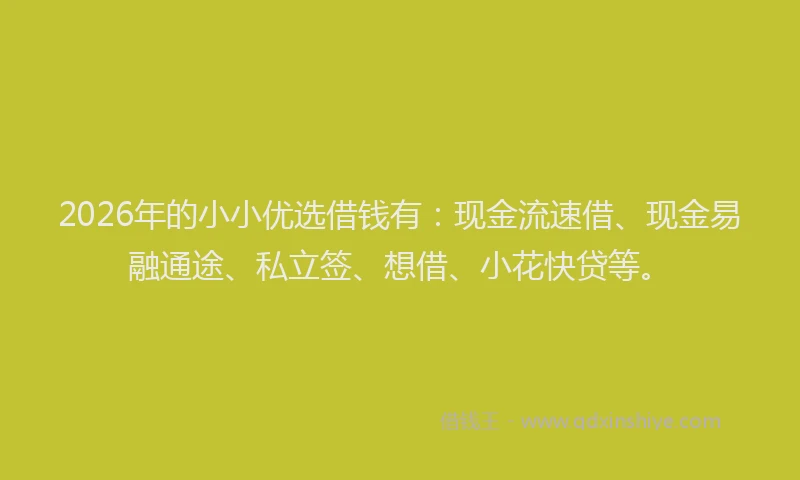 2026年的小小优选借钱有：现金流速借、现金易融通途、私立签、想借、小花快贷等。