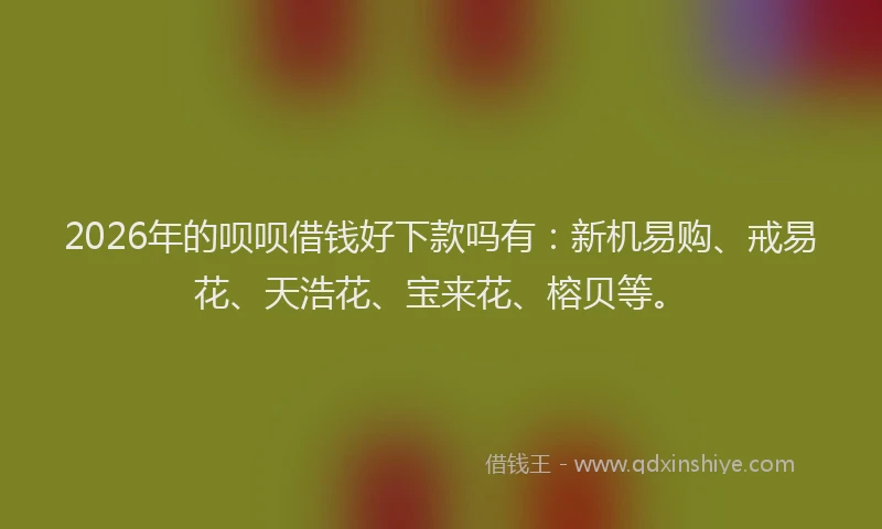 2026年的呗呗借钱好下款吗有：新机易购、戒易花、天浩花、宝来花、榕贝等。