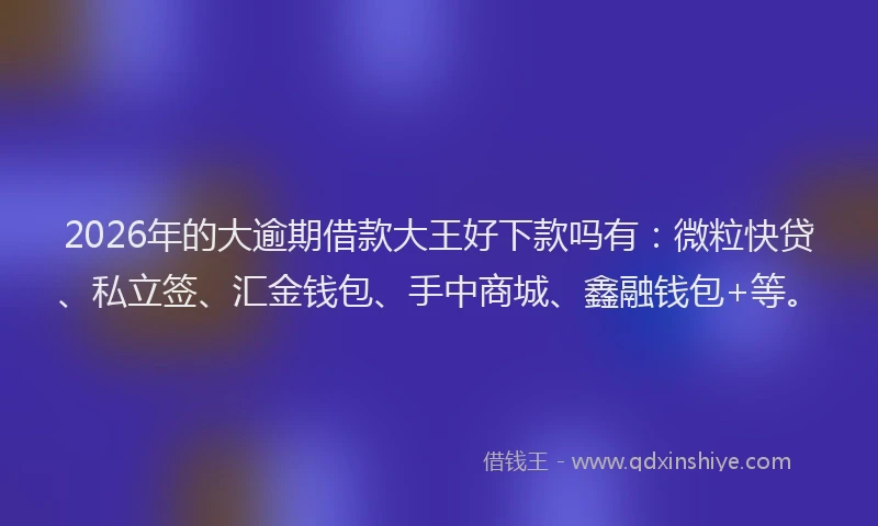 2026年的大逾期借款大王好下款吗有：微粒快贷、私立签、汇金钱包、手中商城、鑫融钱包+等。