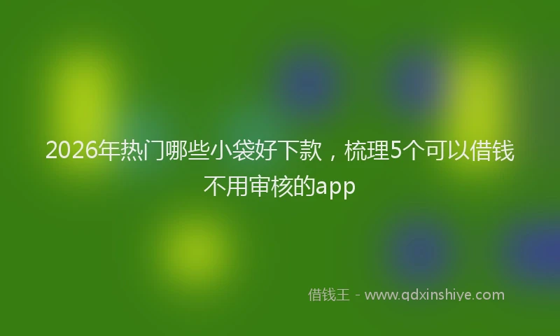 2026年热门哪些小袋好下款，梳理5个可以借钱不用审核的app