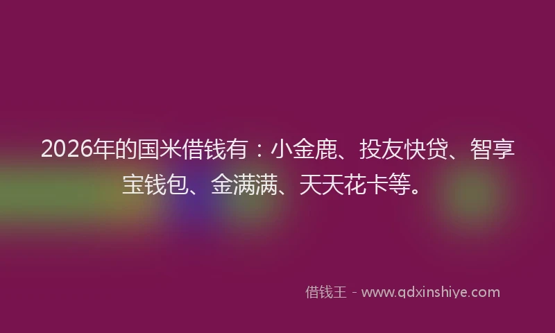 2026年的国米借钱有：小金鹿、投友快贷、智享宝钱包、金满满、天天花卡等。