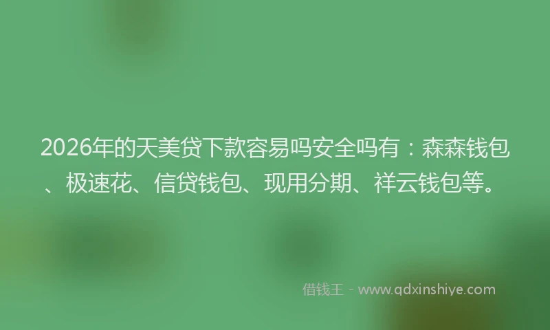 2026年的天美贷下款容易吗安全吗有：森森钱包、极速花、信贷钱包、现用分期、祥云钱包等。