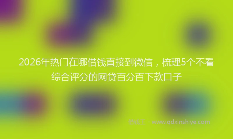 2026年热门在哪借钱直接到微信，梳理5个不看综合评分的网贷百分百下款口子