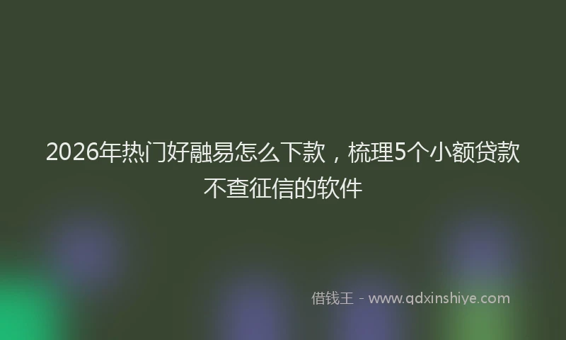 2026年热门好融易怎么下款，梳理5个小额贷款不查征信的软件