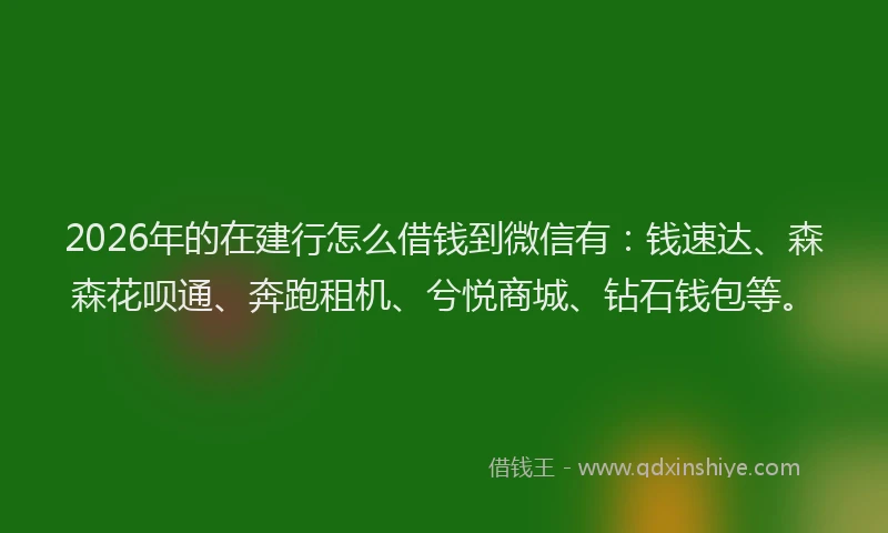 2026年的在建行怎么借钱到微信有：钱速达、森森花呗通、奔跑租机、兮悦商城、钻石钱包等。