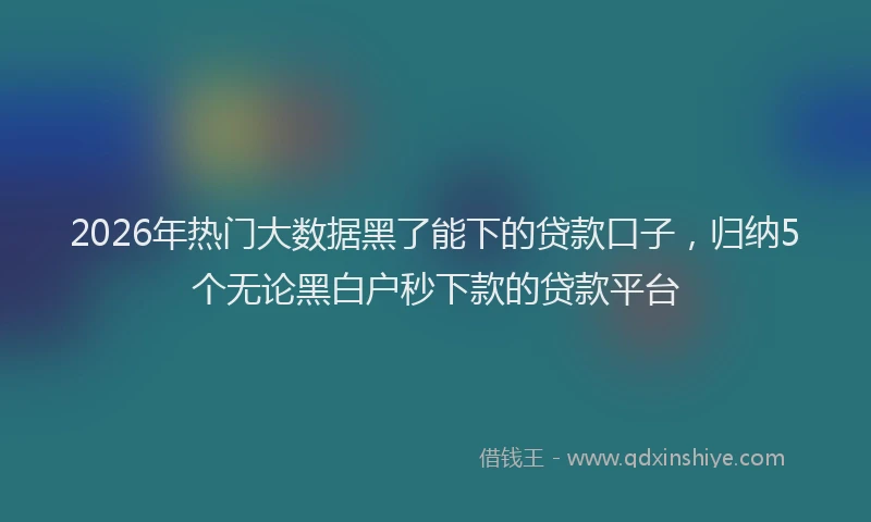 2026年热门大数据黑了能下的贷款口子，归纳5个无论黑白户秒下款的贷款平台