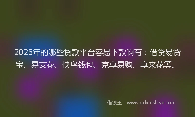 2026年的哪些贷款平台容易下款啊有：借贷易贷宝、易支花、快鸟钱包、京享易购、享来花等。