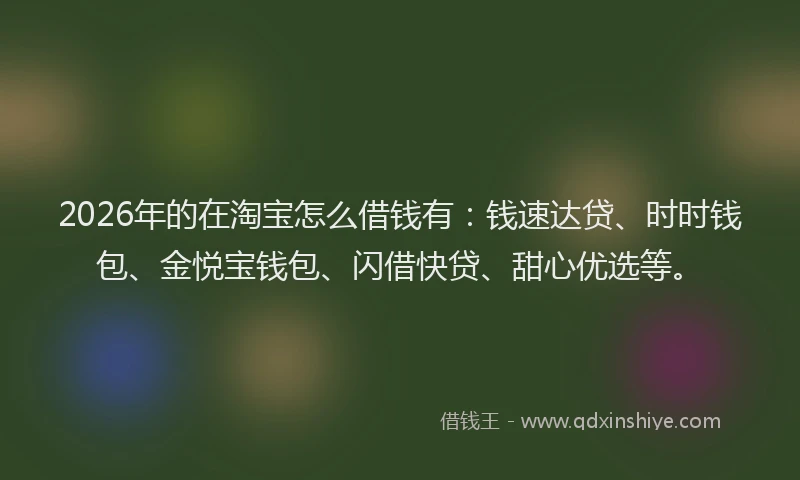2026年的在淘宝怎么借钱有：钱速达贷、时时钱包、金悦宝钱包、闪借快贷、甜心优选等。