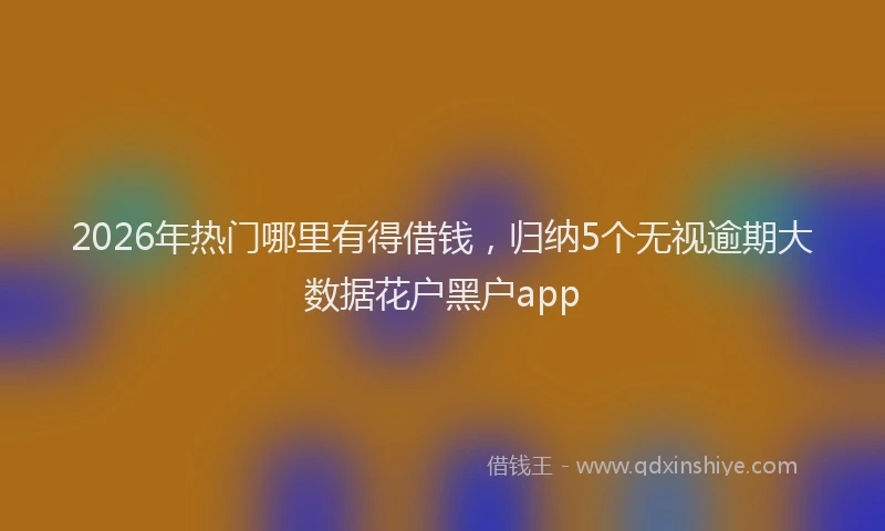 2026年热门哪里有得借钱，归纳5个无视逾期大数据花户黑户app