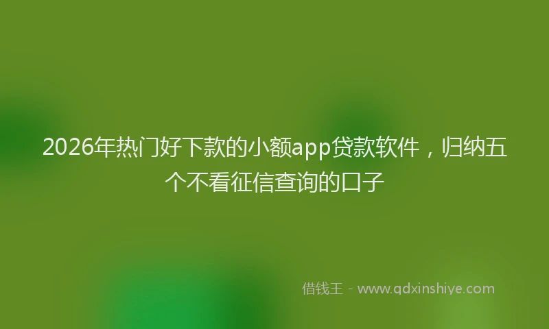 2026年热门好下款的小额app贷款软件，归纳五个不看征信查询的口子