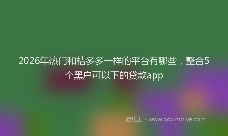 2026年热门和桔多多一样的平台有哪些，整合5个黑户可以下的贷款app