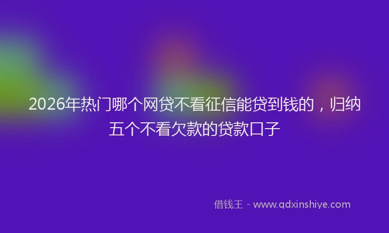 2026年热门哪个网贷不看征信能贷到钱的，归纳五个不看欠款的贷款口子