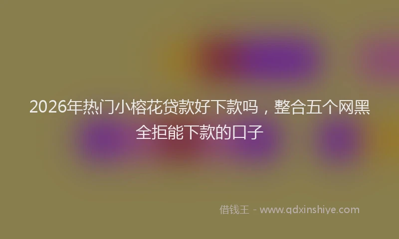 2026年热门小榕花贷款好下款吗，整合五个网黑全拒能下款的口子