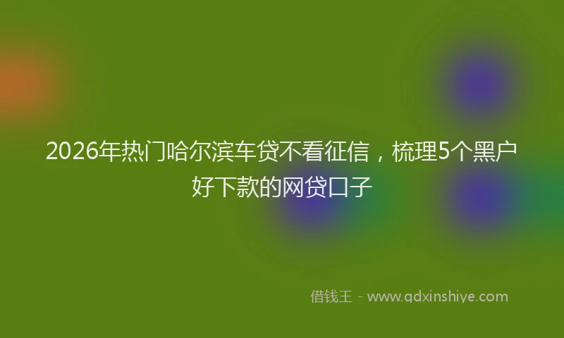 2026年热门哈尔滨车贷不看征信，梳理5个黑户好下款的网贷口子