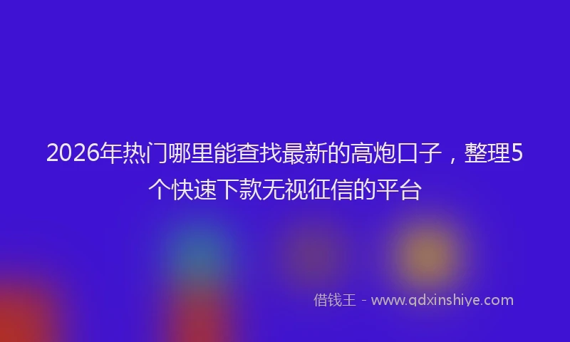 2026年热门哪里能查找最新的高炮口子，整理5个快速下款无视征信的平台