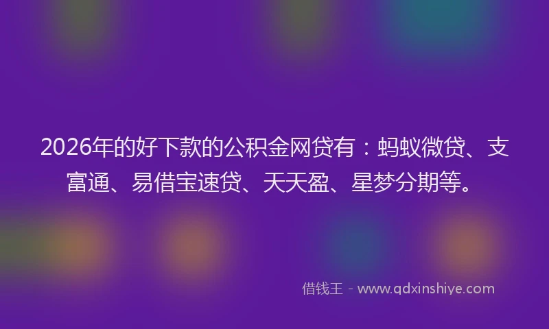 2026年的好下款的公积金网贷有：蚂蚁微贷、支富通、易借宝速贷、天天盈、星梦分期等。