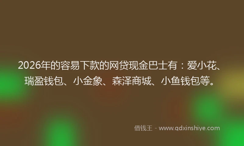 2026年的容易下款的网贷现金巴士有：爱小花、瑞盈钱包、小金象、森泽商城、小鱼钱包等。