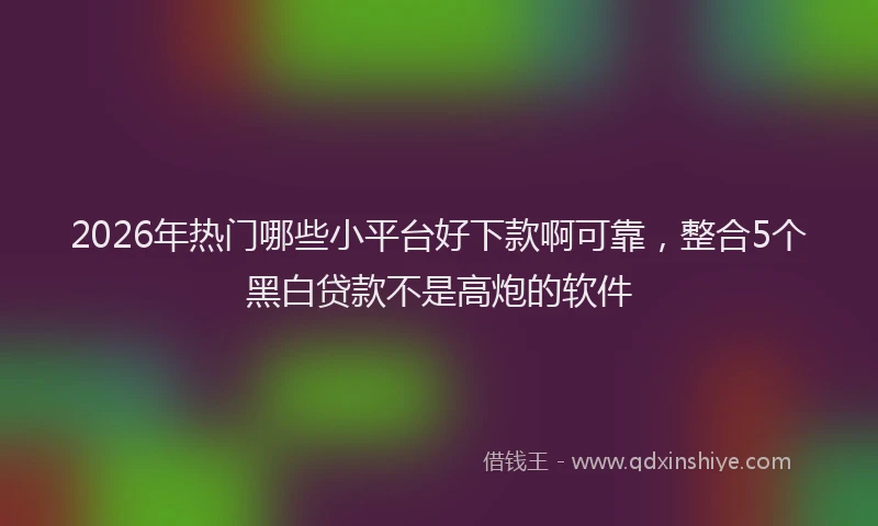 2026年热门哪些小平台好下款啊可靠，整合5个黑白贷款不是高炮的软件