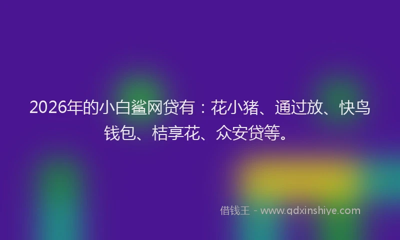 2026年的小白鲨网贷有：花小猪、通过放、快鸟钱包、桔享花、众安贷等。