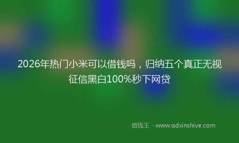 2026年热门小米可以借钱吗，归纳五个真正无视征信黑白100%秒下网贷