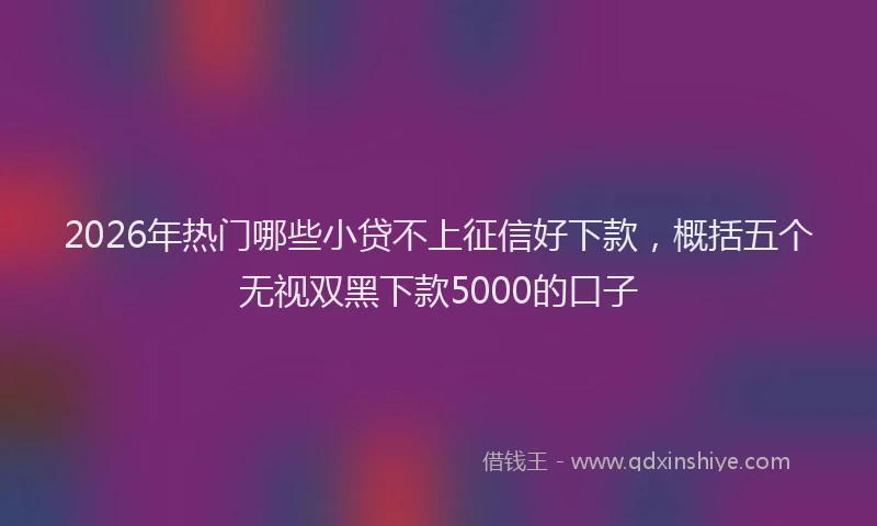 2026年热门哪些小贷不上征信好下款，概括五个无视双黑下款5000的口子