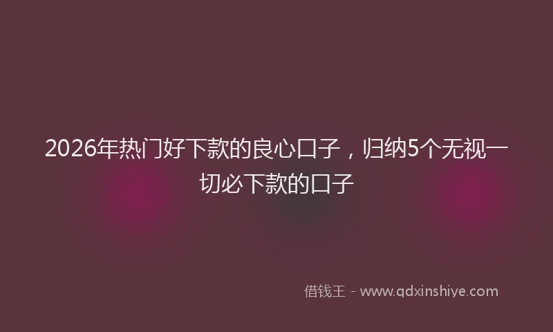 2026年热门好下款的良心口子，归纳5个无视一切必下款的口子