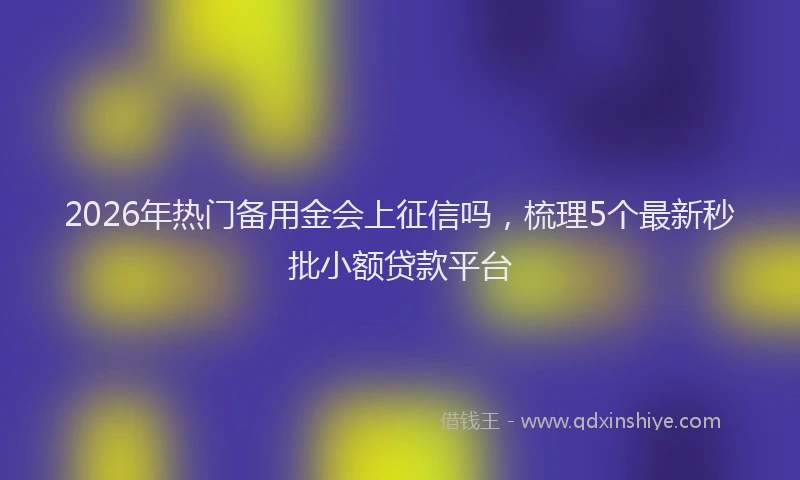 2026年热门备用金会上征信吗，梳理5个最新秒批小额贷款平台