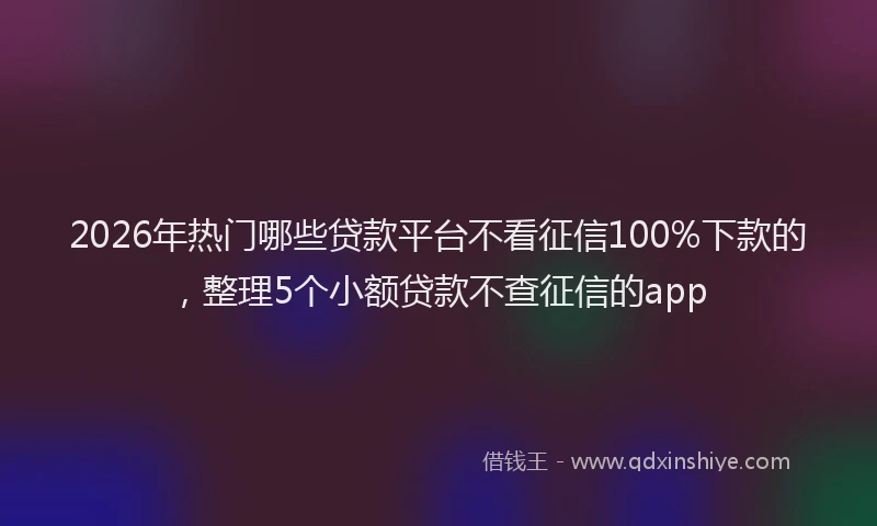 2026年热门哪些贷款平台不看征信100%下款的，整理5个小额贷款不查征信的app