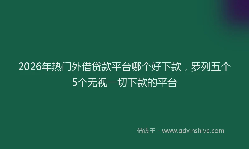 2026年热门外借贷款平台哪个好下款，罗列五个5个无视一切下款的平台