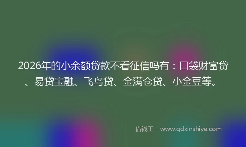 2026年的小余额贷款不看征信吗有：口袋财富贷、易贷宝融、飞鸟贷、金满仓贷、小金豆等。