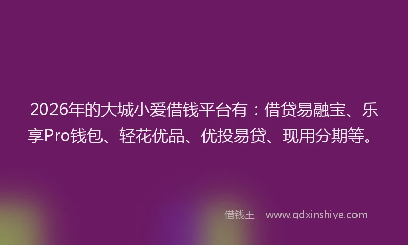 2026年的大城小爱借钱平台有：借贷易融宝、乐享Pro钱包、轻花优品、优投易贷、现用分期等。