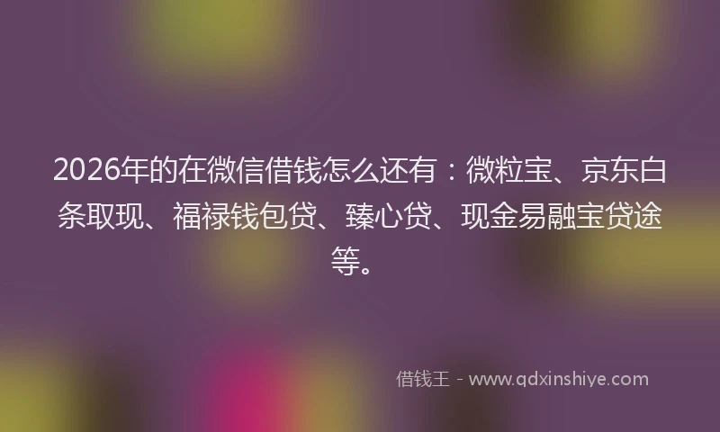2026年的在微信借钱怎么还有：微粒宝、京东白条取现、福禄钱包贷、臻心贷、现金易融宝贷途等。