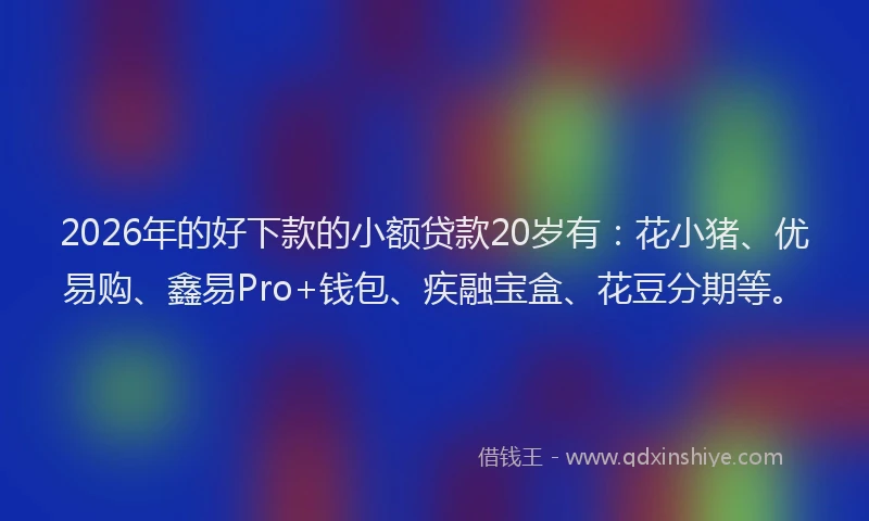 2026年的好下款的小额贷款20岁有：花小猪、优易购、鑫易Pro+钱包、疾融宝盒、花豆分期等。
