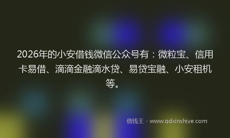 2026年的小安借钱微信公众号有：微粒宝、信用卡易借、滴滴金融滴水贷、易贷宝融、小安租机等。