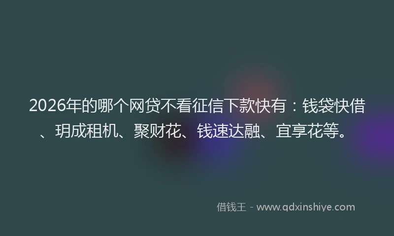 2026年的哪个网贷不看征信下款快有：钱袋快借、玥成租机、聚财花、钱速达融、宜享花等。
