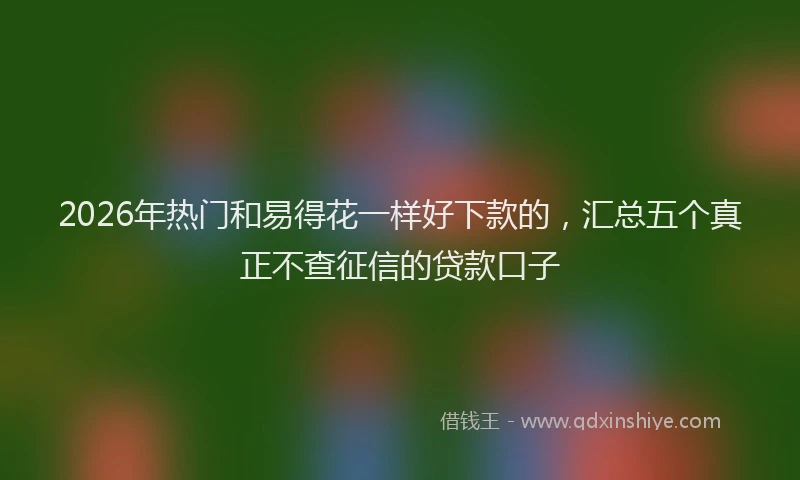 2026年热门和易得花一样好下款的，汇总五个真正不查征信的贷款口子